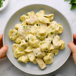 Chicken Alfredo Tortellini